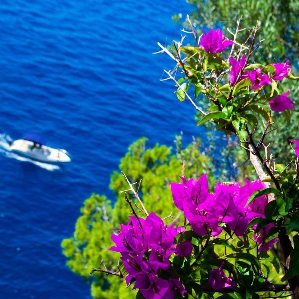 Excursión a Capri desde Massa Lubrense