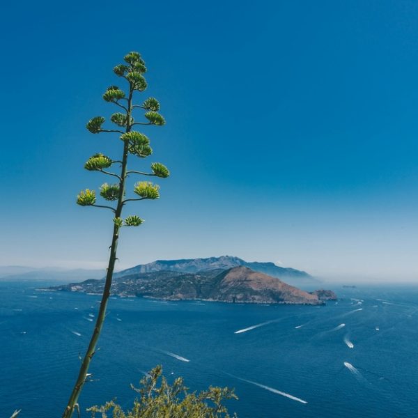 ¿Cuál es el paseo en barco más económico de Capri?