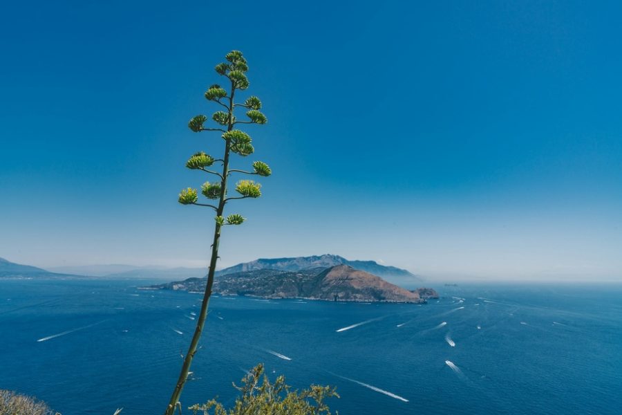 ¿Cuál es el paseo en barco más económico de Capri?