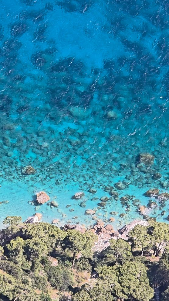 Paseo en barco con niños en Capri